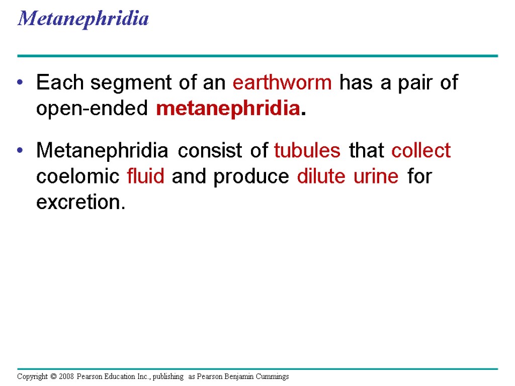 Metanephridia Each segment of an earthworm has a pair of open-ended metanephridia. Metanephridia consist
